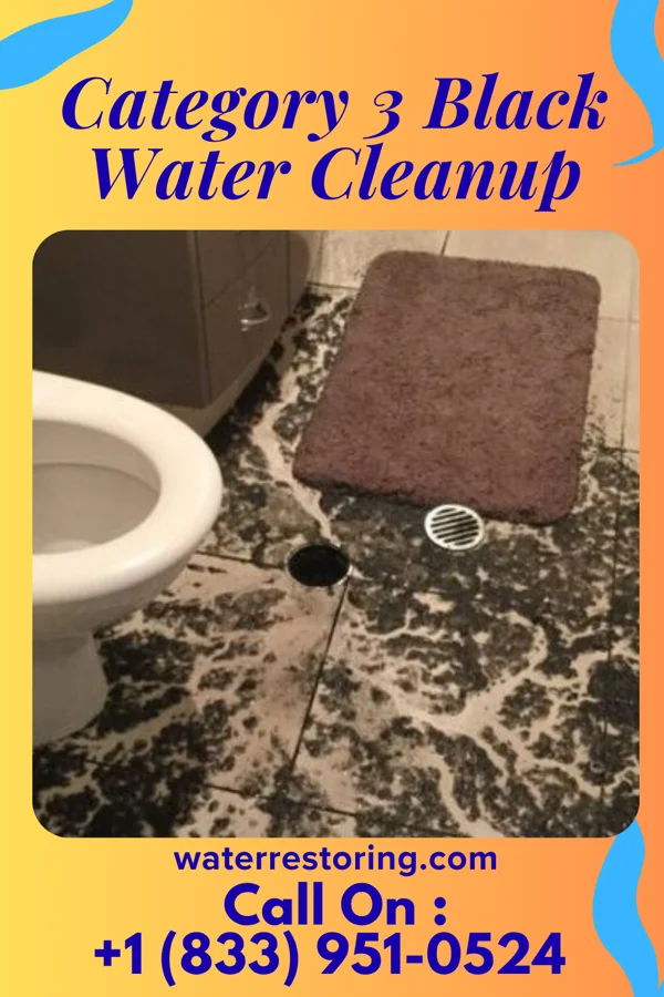 Category 3 Black Water Cleanup in Woodruff, KS